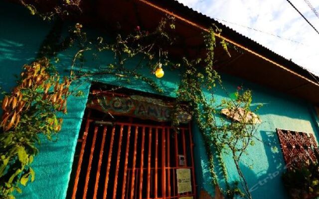 Los Amigos Hostel вид на фасад