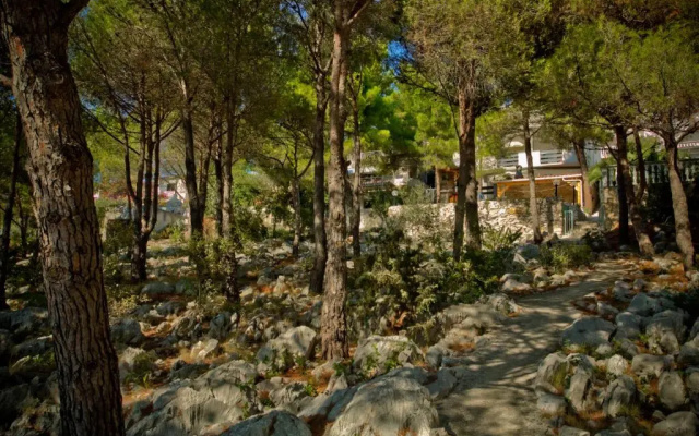 Apartments Vrgada