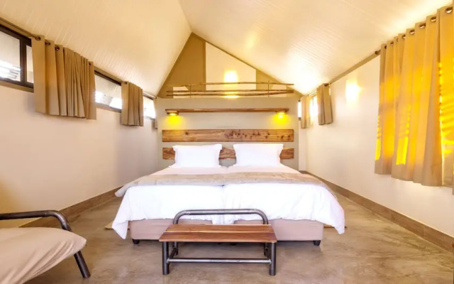 Desert Quiver Camp