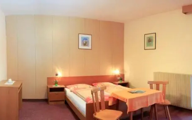 Pension Rastnerhof