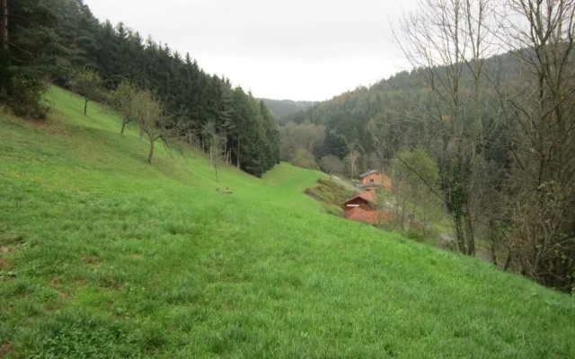 Waldpension Stachl