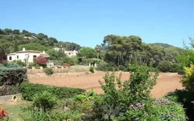 Les Anémones