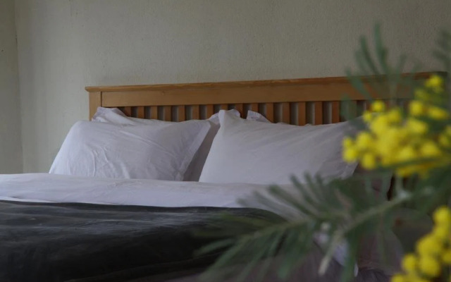 Dali Shaxi Moss Inn