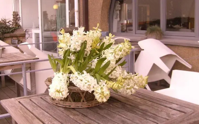 B&B Blanches Voiles