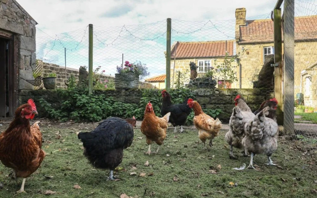 Church Farm Annex