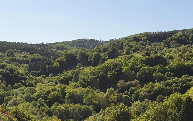 Die Grune Oase Am Rheinsteig 2 Zkbuwc