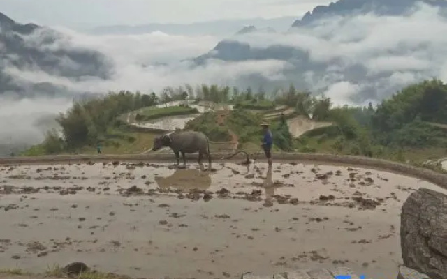 Yunhe Terraced Fields Homestay