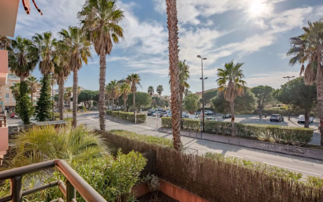 Santa Monica 24137