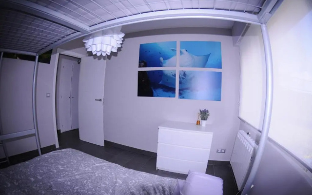 Apartamentos Urdaibai 4