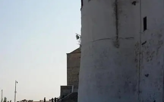 Latorreangioina