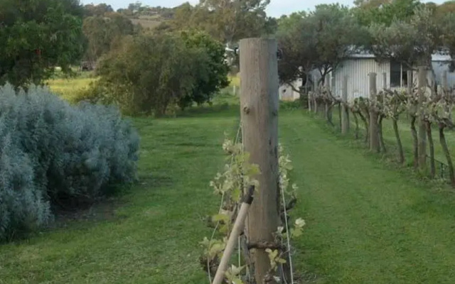 Southern Vales Bed & Breakfast