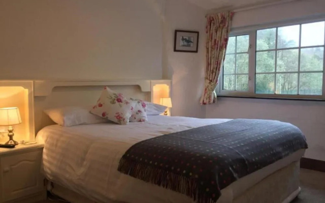 Ryan's River Lodge B&b