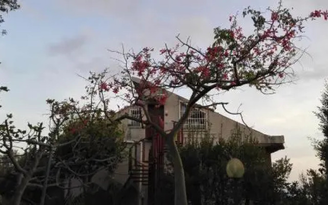 Lucrezia Loft Garden Catania