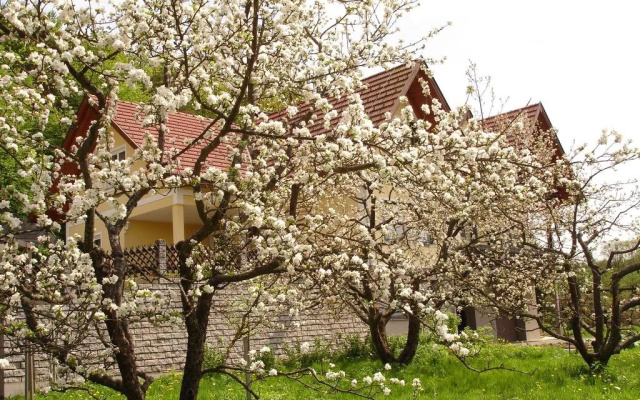Landhaus Sudy