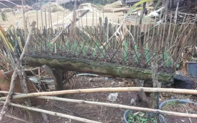 Site 52 - Ban Pakeo & Home stay ( Full Board)