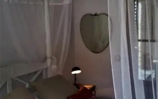 Casa Liebre