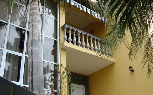 Sofias Place