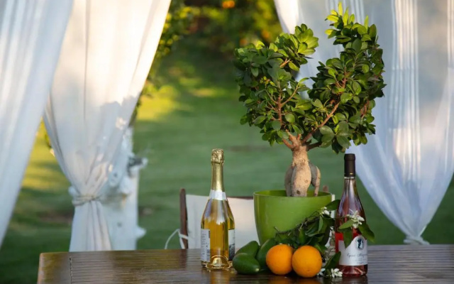 Neriana Villa - Garden Paradise