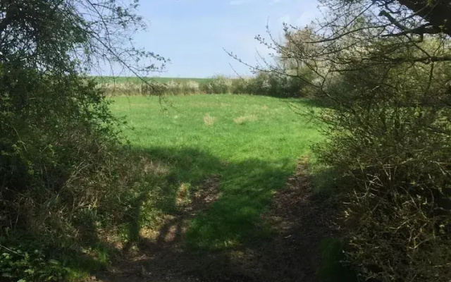 Waldegrave farm
