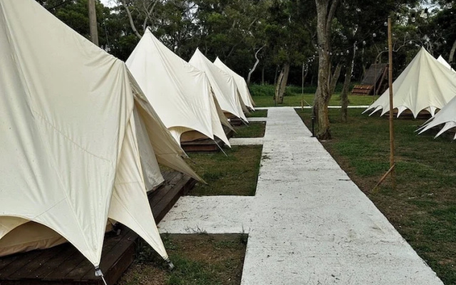 Touching camping