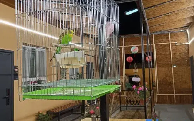Joy Homestay