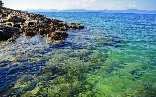 Villa Marijeta - 20 m from sea