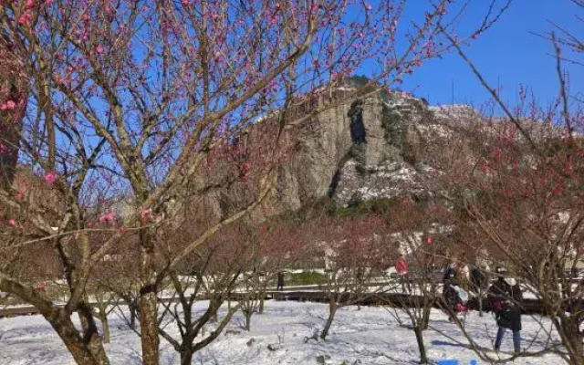 Wenzhou Yueqing Yandang Mountain Valley Homestay (Lingfeng Scenic Area)