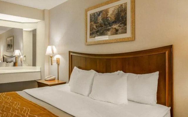 Comfort Inn On the River - Cherokee