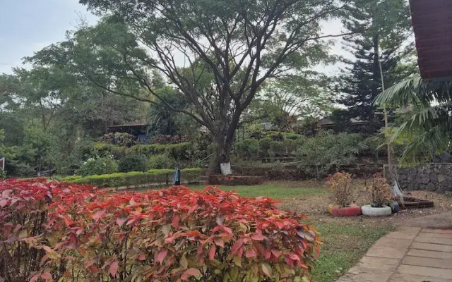 Camp Temgarh