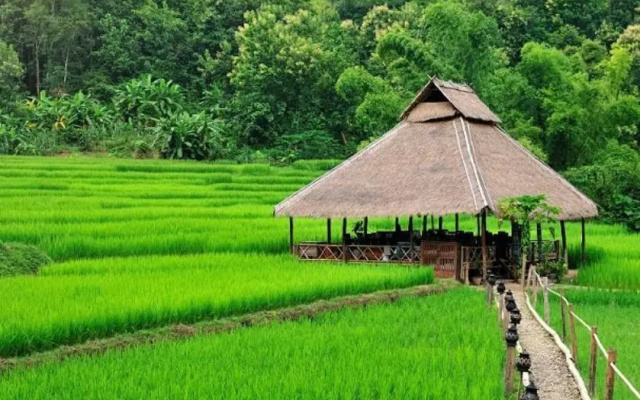 Kamu Lodge