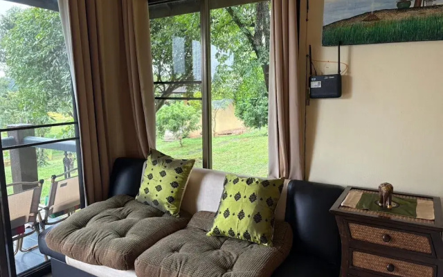 Palette Luxe Elephant Camp Maerim
