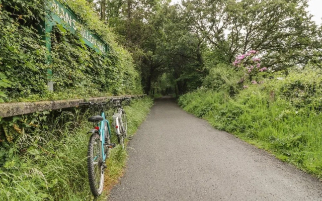The Halt, Bodmin