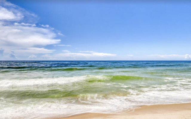 Grand Caribbean 117