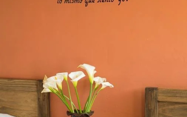 Casa Frenesí