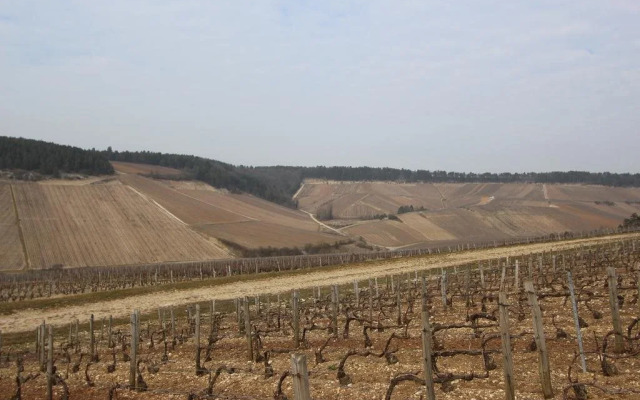 Au Petit Château