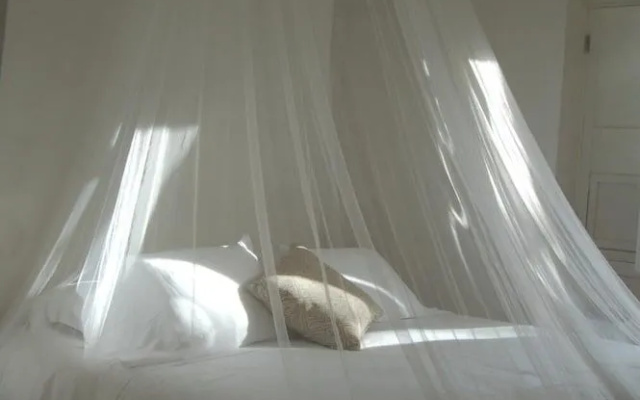 Suite Assul