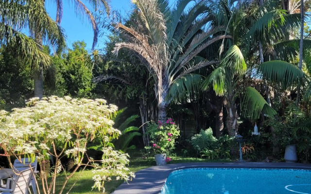 Kennington Palms B&B/Self Catering