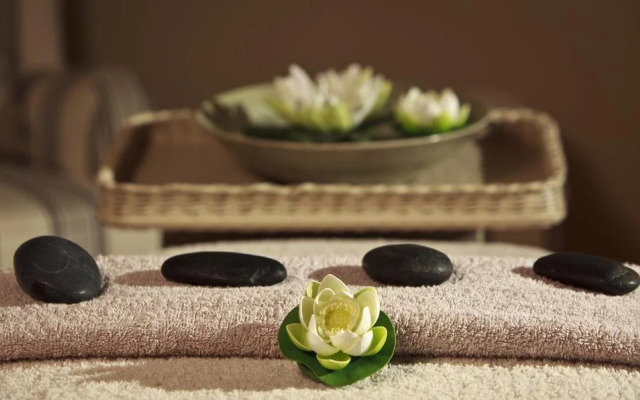 White Lotus Day Spa