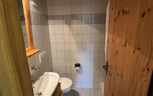 Awesome Apartment Near ski Slope