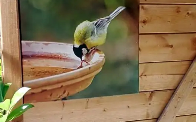 B&B De Zes Wielen