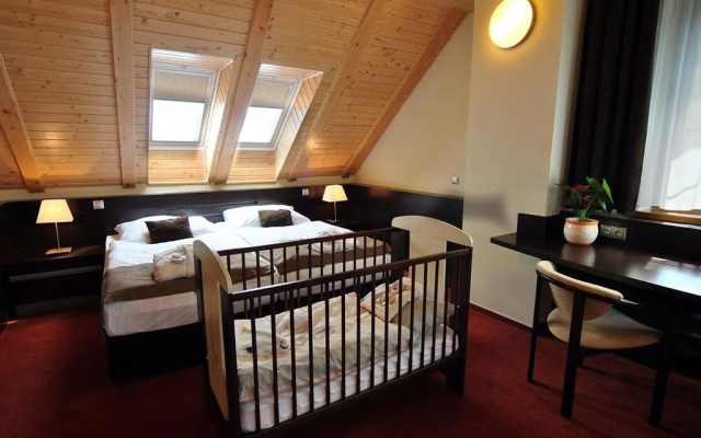 Wellness Hotel Pod Kycmolem