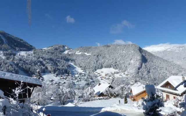 Appartement La Clusaz, 2 pièces, 4 personnes - FR-1-437-5
