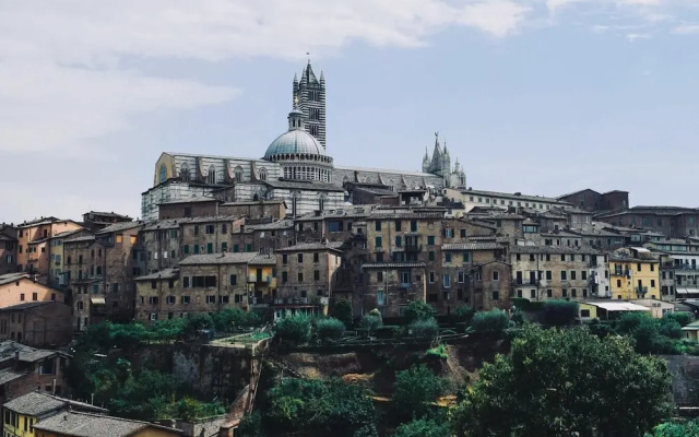 Rinidia Siena Celso Cittadini
