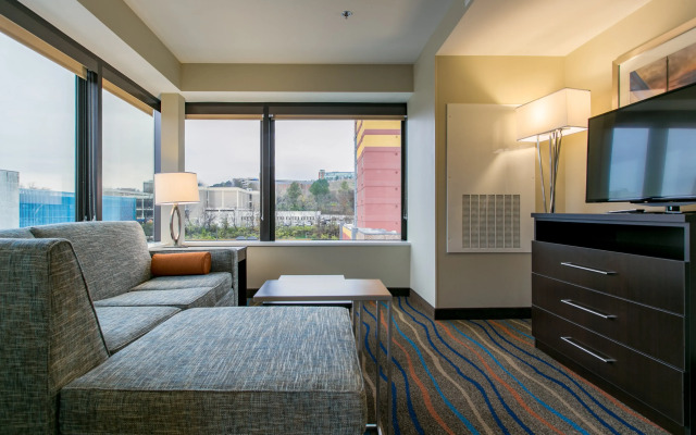 Holiday Inn & Suites Chattanooga Downtown by IHG