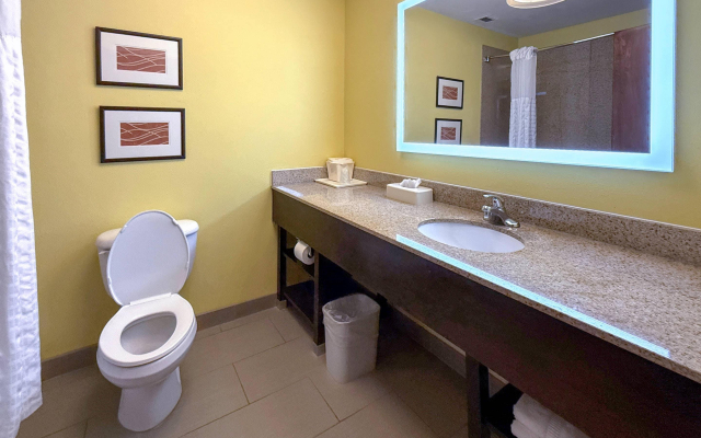 Comfort Inn & Suites Rogersville