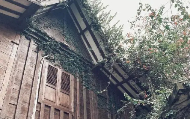 Pumba Homestay
