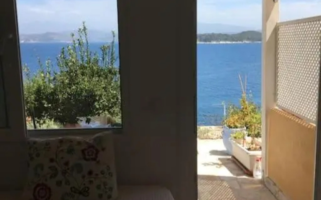 see the sea1
