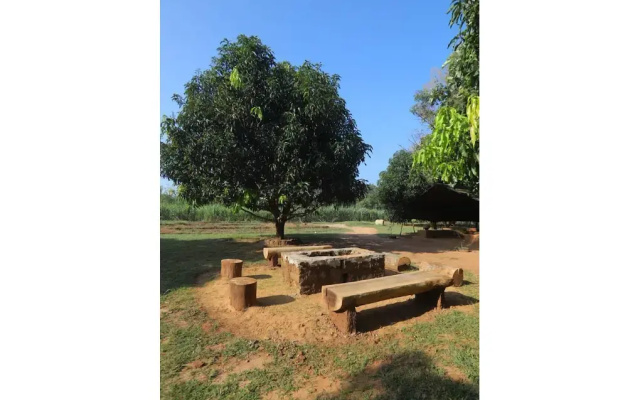 Camp Hasthi
