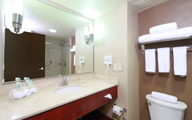 Holiday Inn Express Guadalajara Aeropuerto by IHG