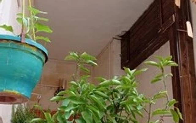 Toprak Hotel